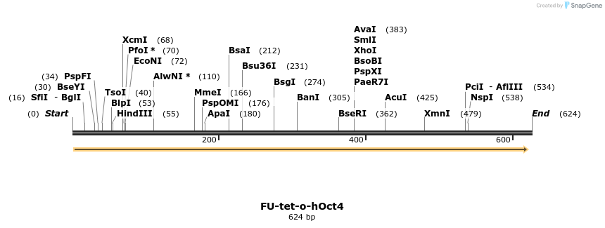 25708_map