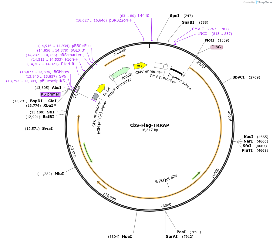 257090_map
