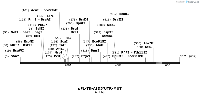 25714_map