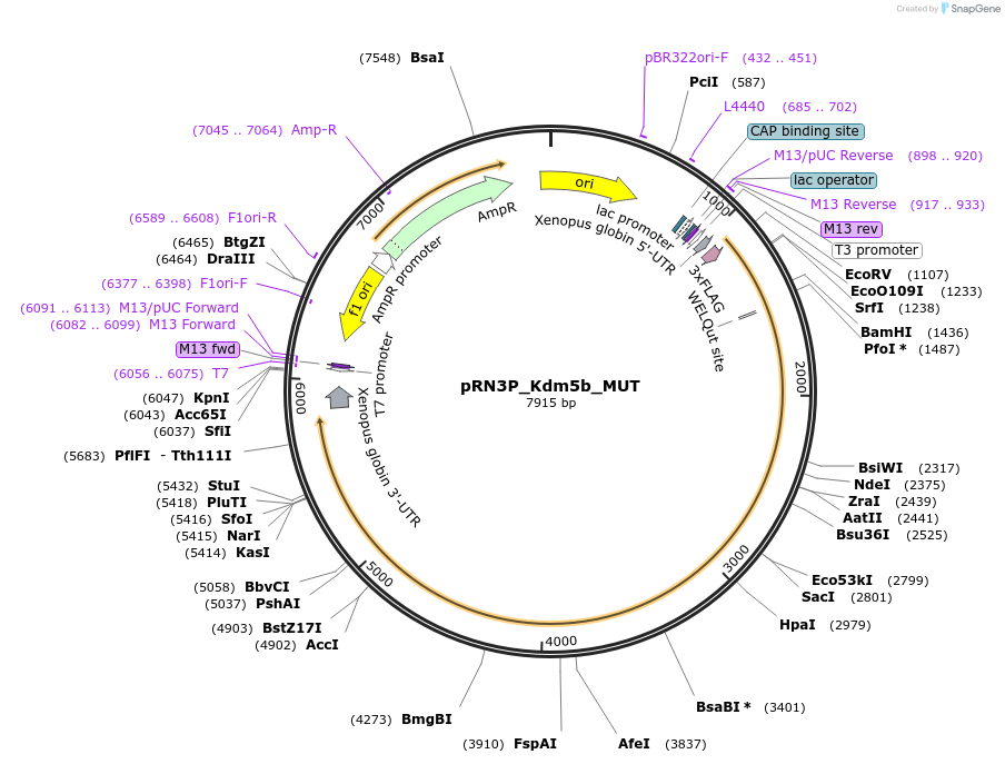 257160_map