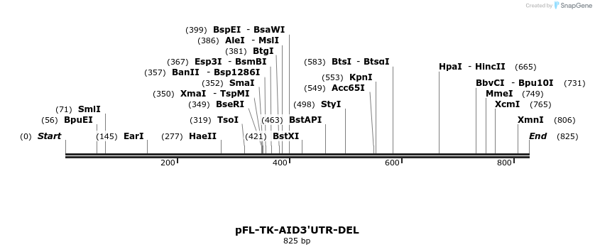 25717_map
