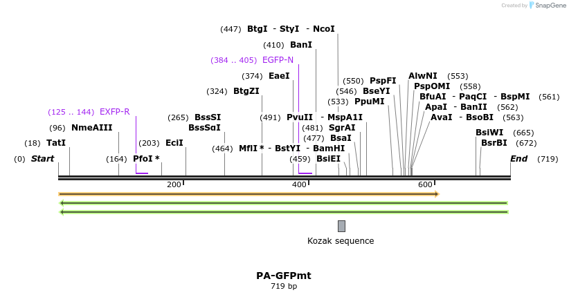 25718_map
