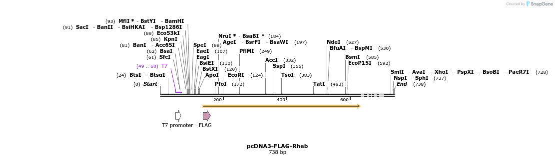 25726_map