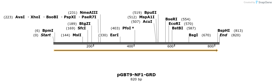 25728_map