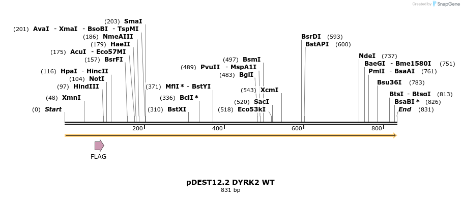 25733_map