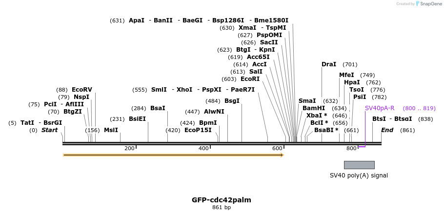 25735_map