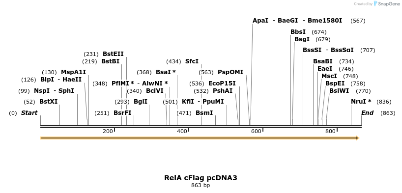 25737_map
