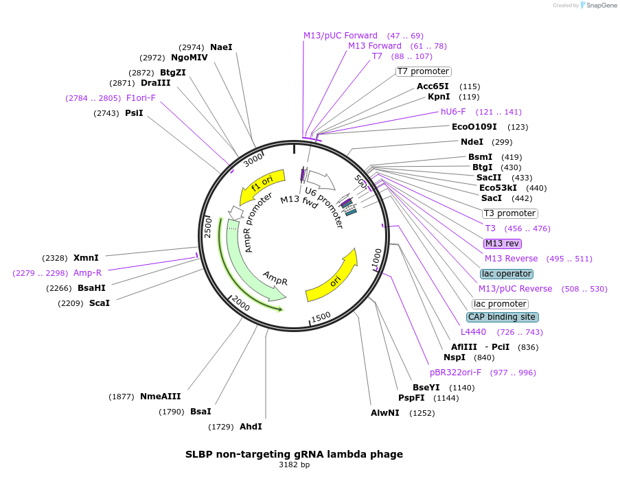257378_map