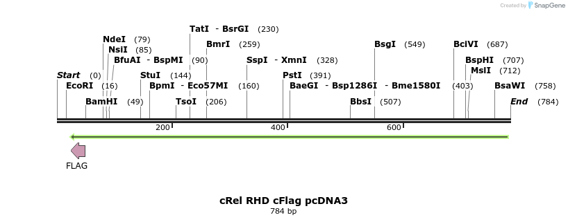 25742_map