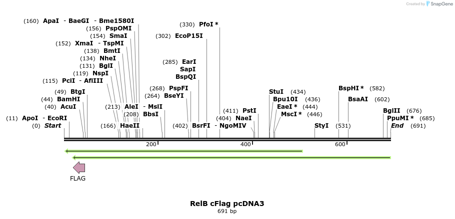 25743_map