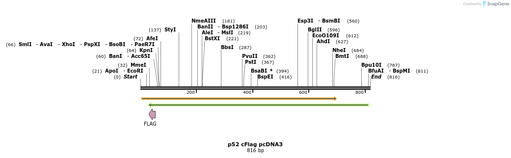25745_map
