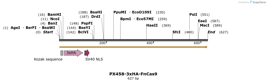 257450_map