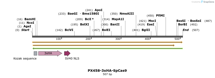 257451_map