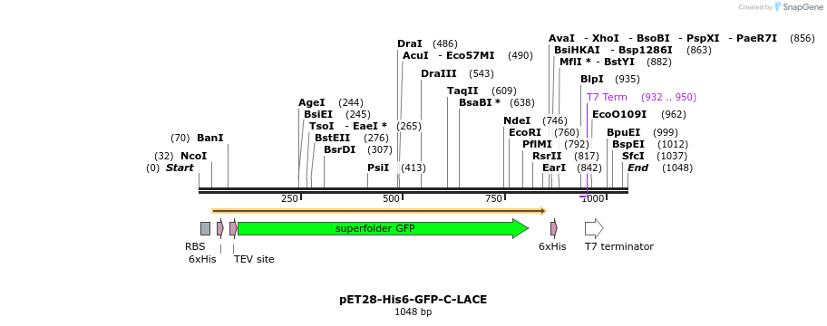 257467_map