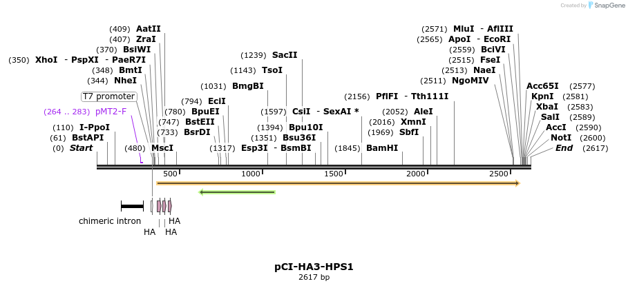 257507_map
