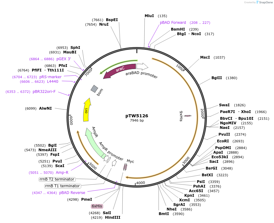 257612_map