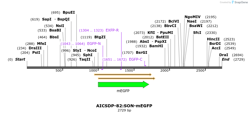 257696_map