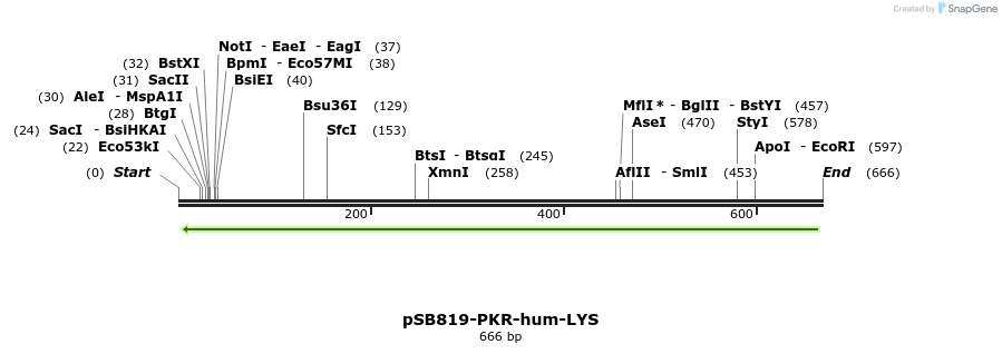 25774_map