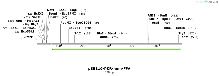 25775_map