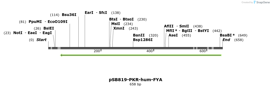 25776_map