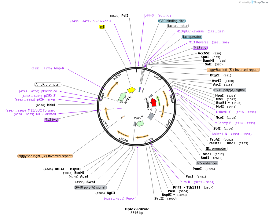 257771_map