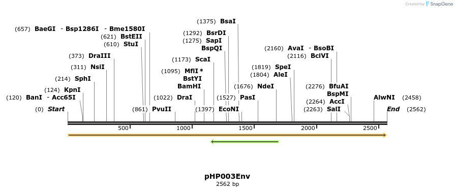 257778_map