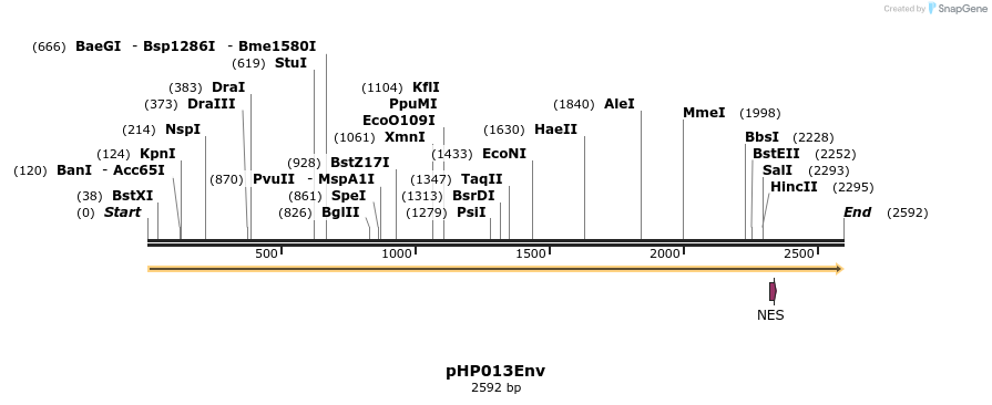 257781_map