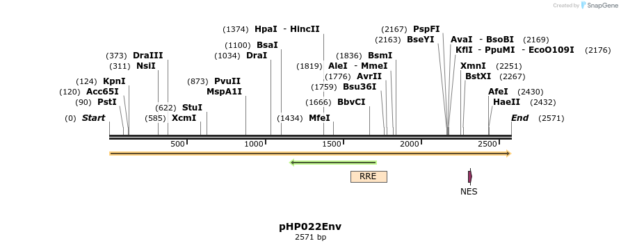 257784_map