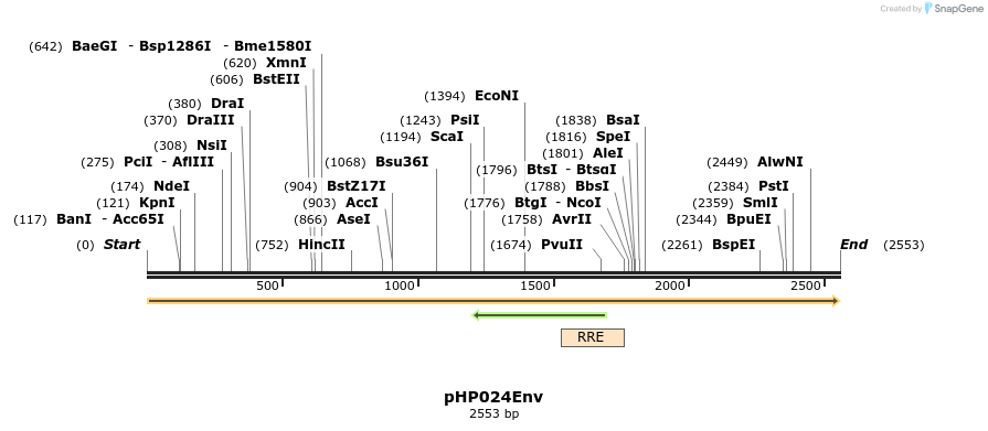 257786_map