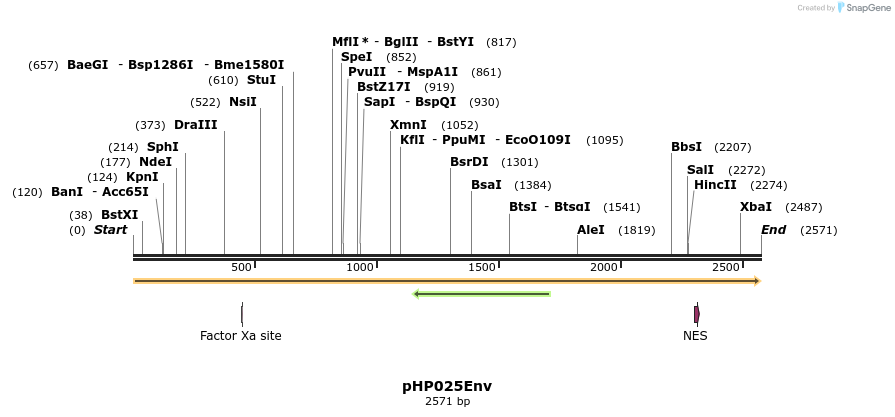 257787_map