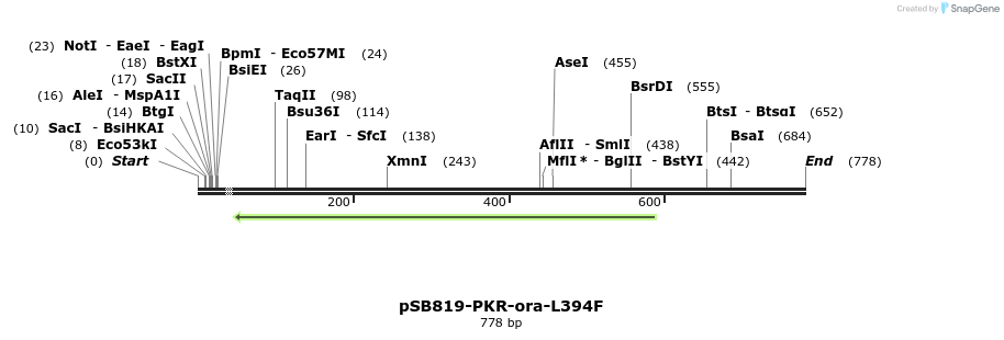 25779_map