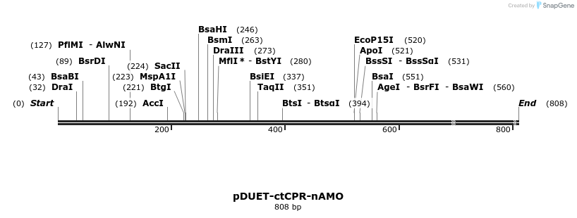 25785_map