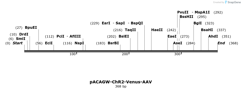 25796_map