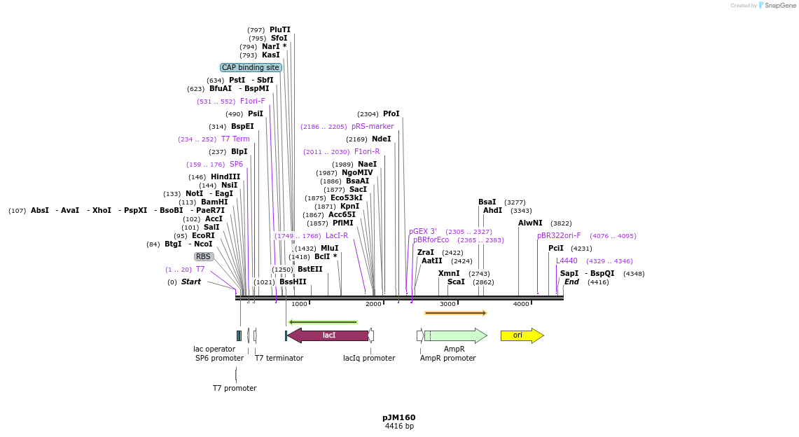 258003_map
