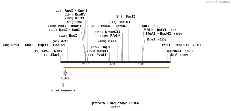 25801_map