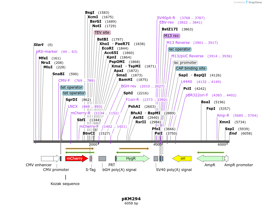 258014_map