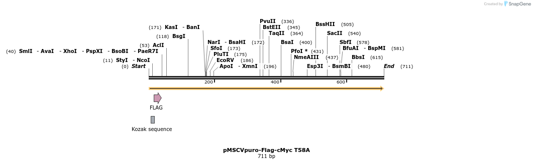 25802_map