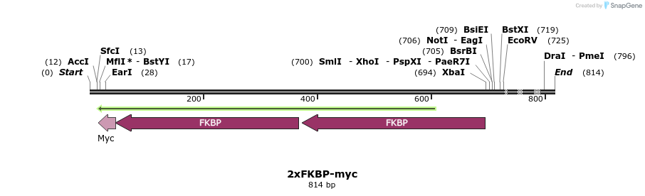 25805_map