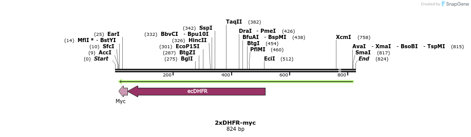 25808_map