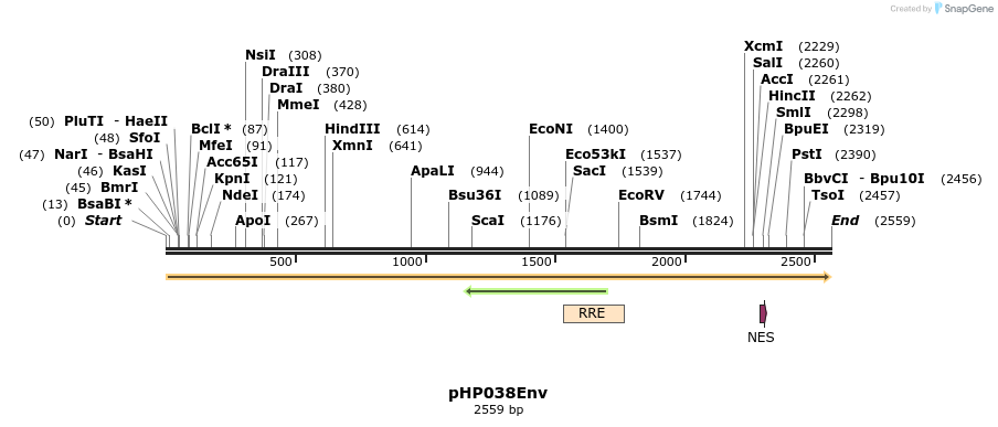 258088_map