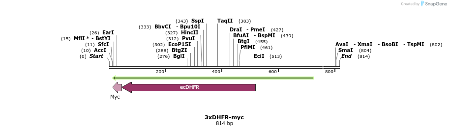 25809_map