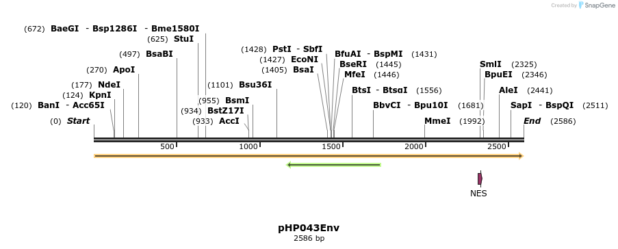 258090_map