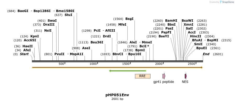 258091_map
