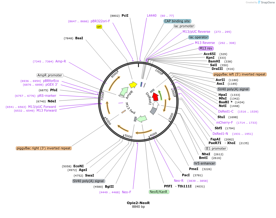 258113_map