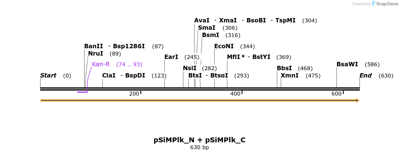 258138_map