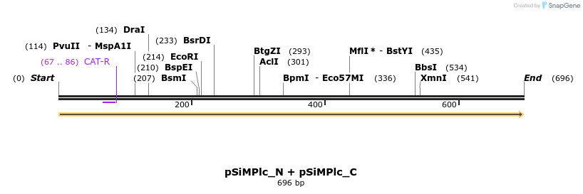 258140_map