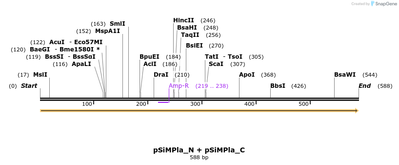 258142_map