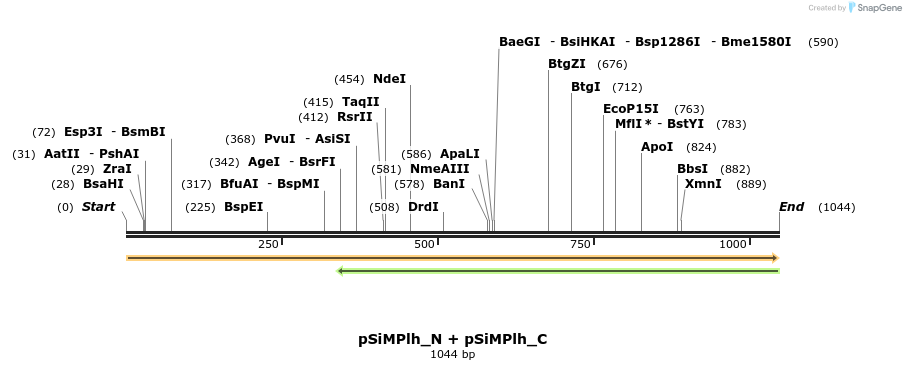 258144_map