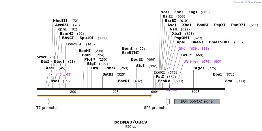 25815_map