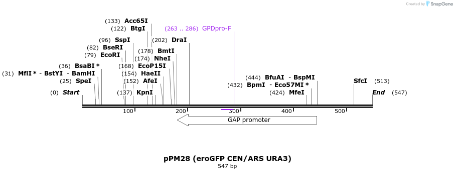 25817_map